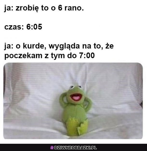 A jednak poczekam
