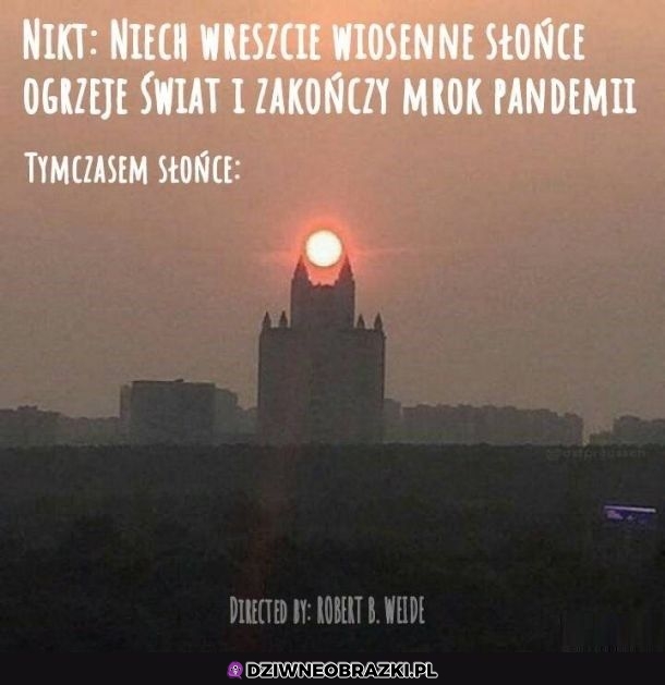 Wiosenna słoneczko