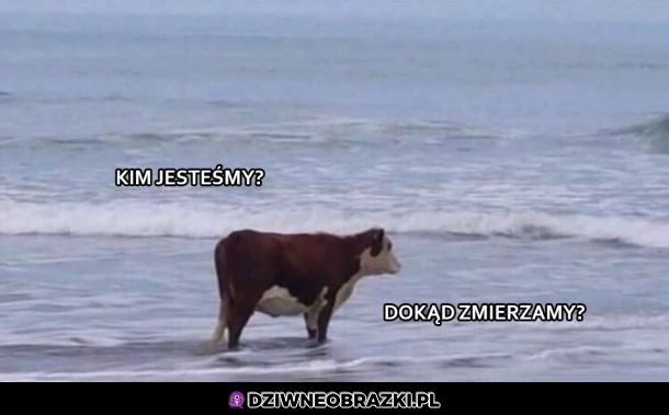 Filozoficznie
