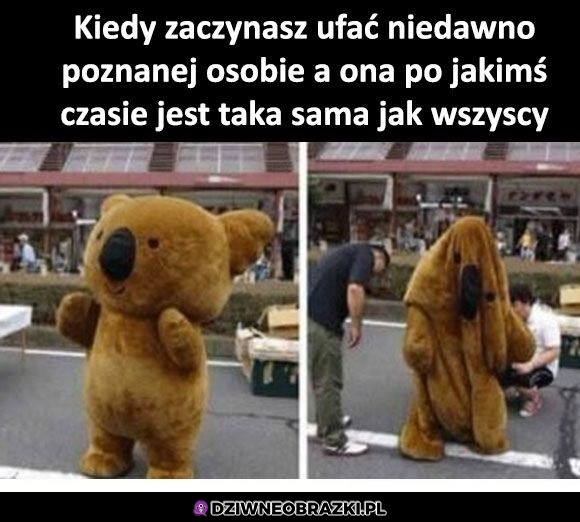 No nie