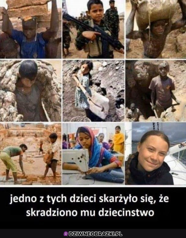 Zgadnijcie które
