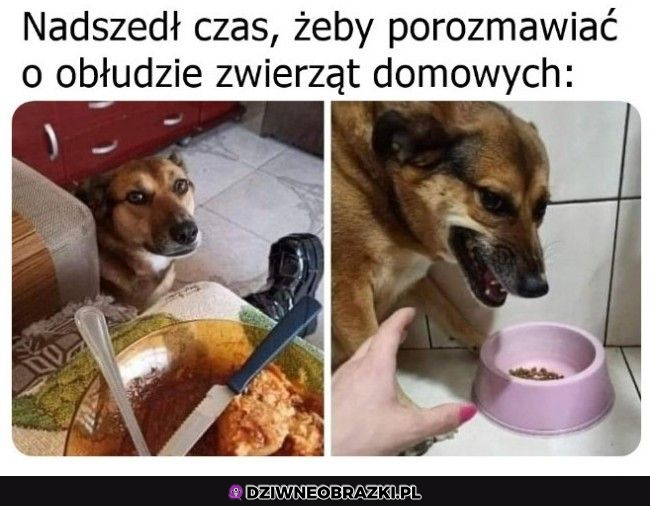 Moje, nie ruszaj 