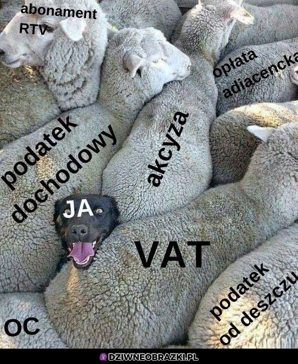 Każdy z nas