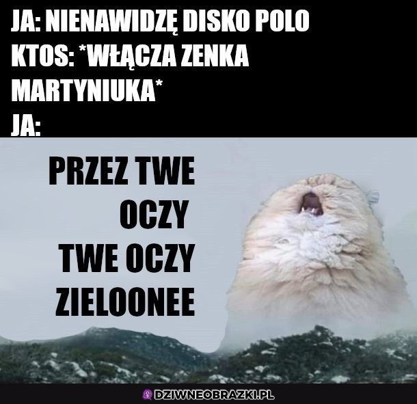 I wtedy leci Zenek