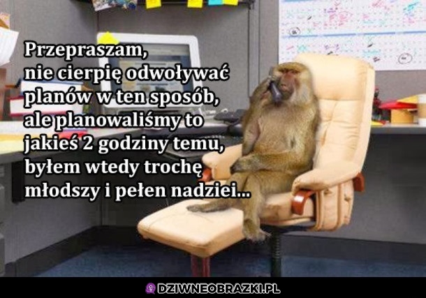 Niestety tak było