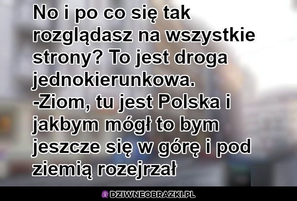 Rozglądanie się