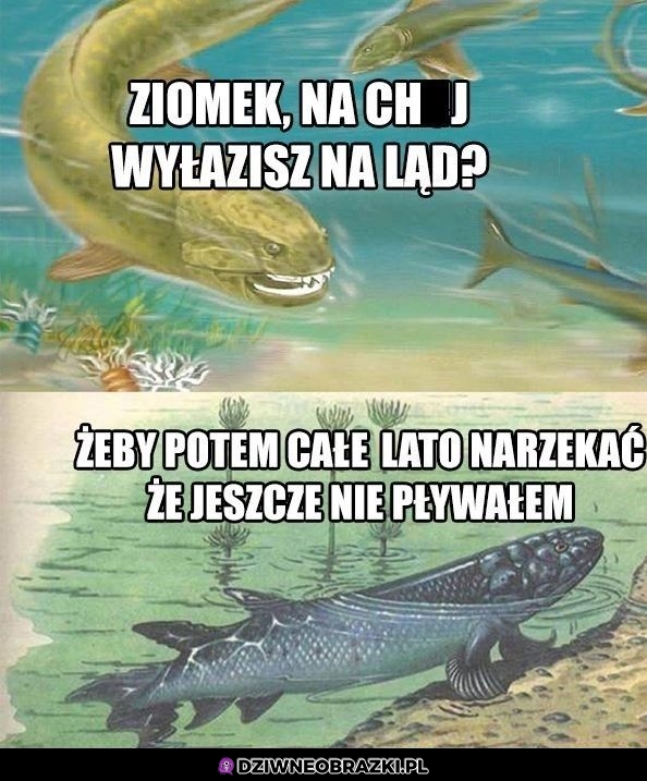 I po co nam to było