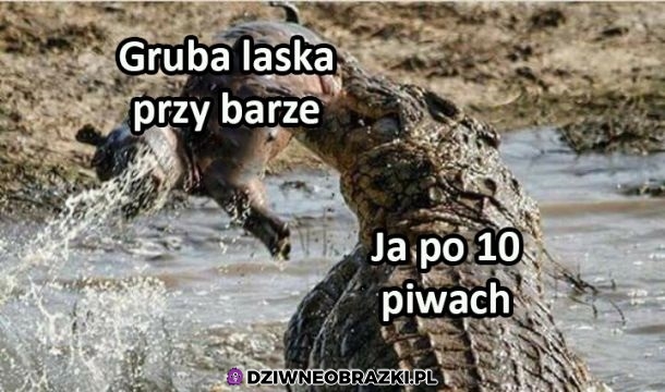 Witam