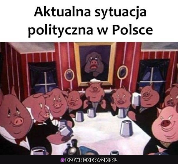 Mniej więcej się zgadza