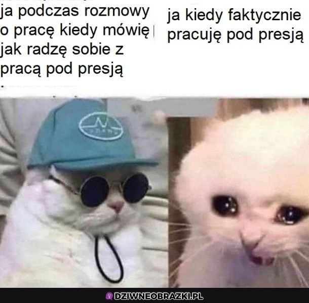 Presja taka jest