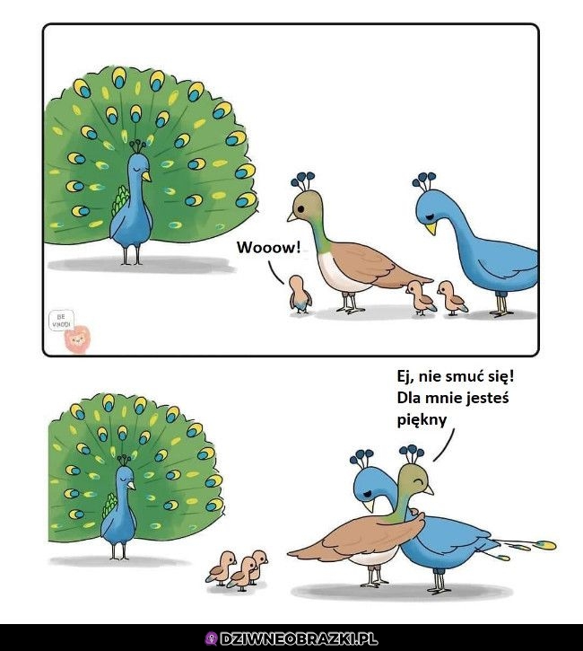 Wsparcie