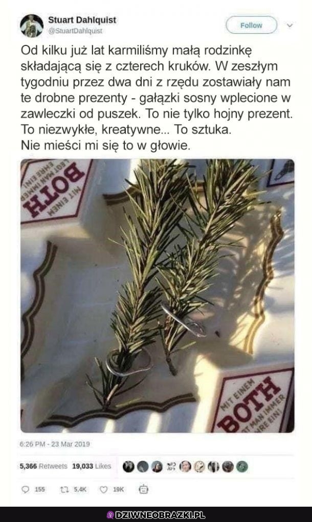 O proszę