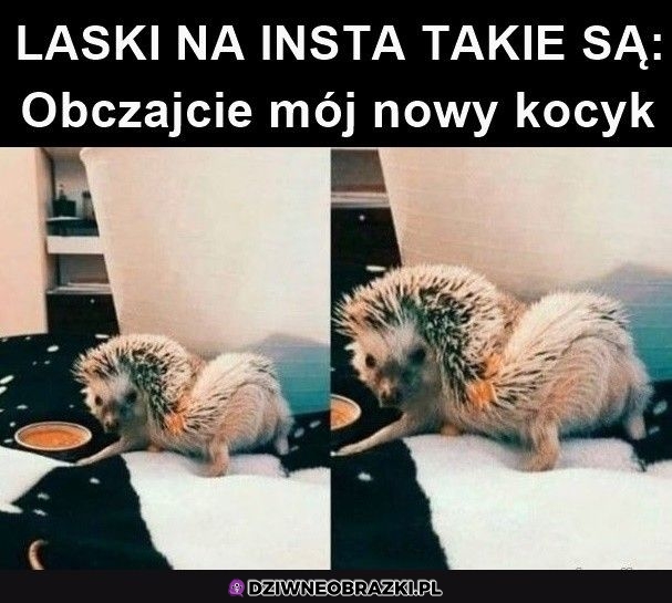 Insta takie jest