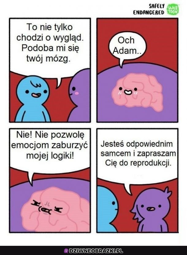 Logiczne