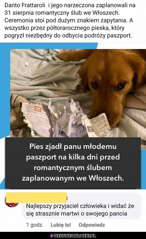 Ma przeczucie