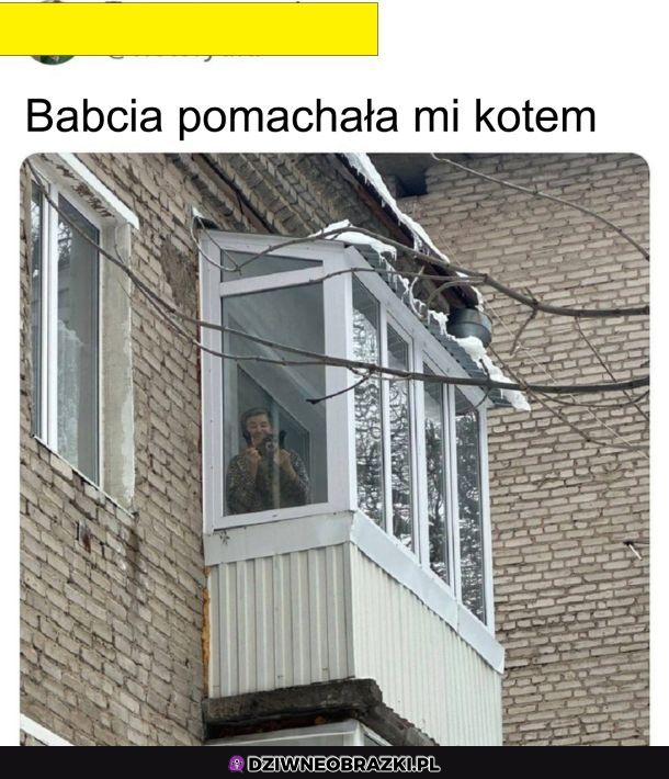Babcie są wyjątkowe 
