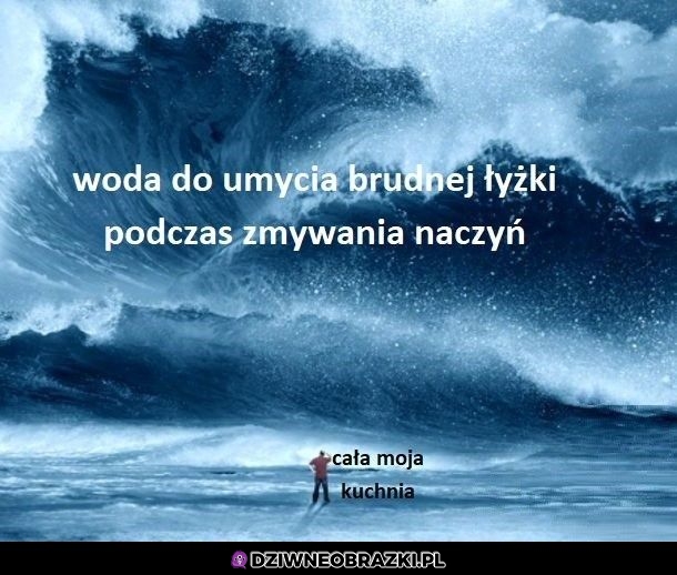 Zmywanie