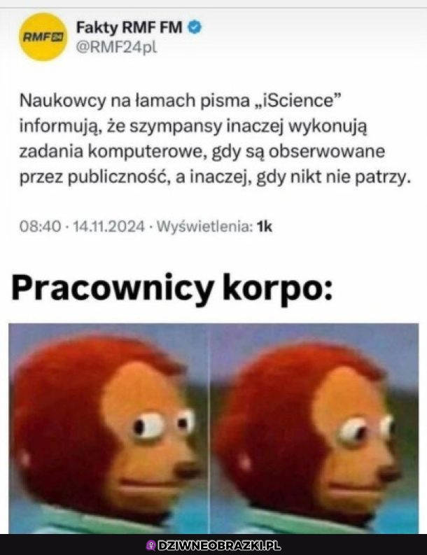 Pora się bać