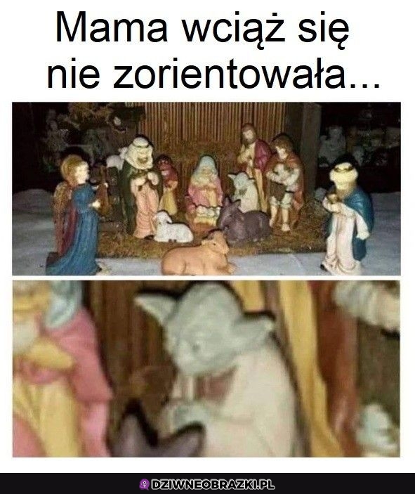 Nie zczaiła