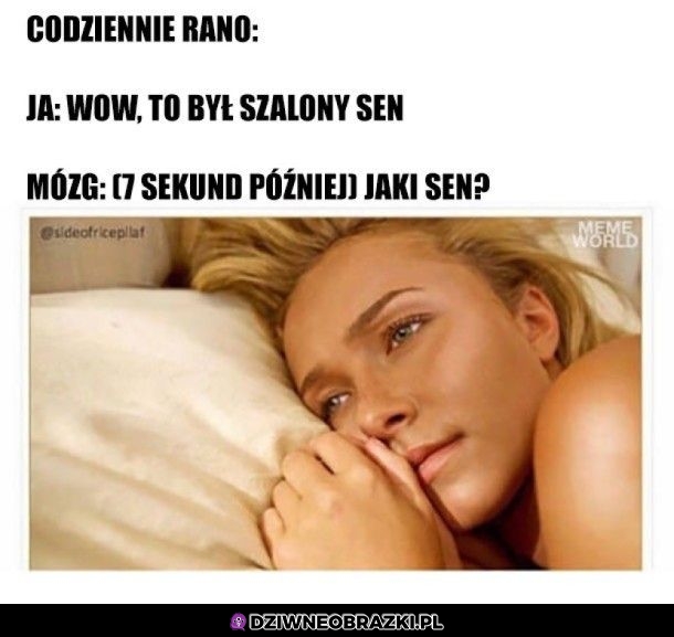 Szalony sen