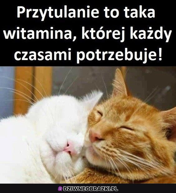 Przytulanie