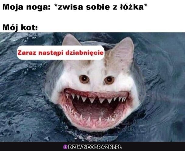 Zawsze