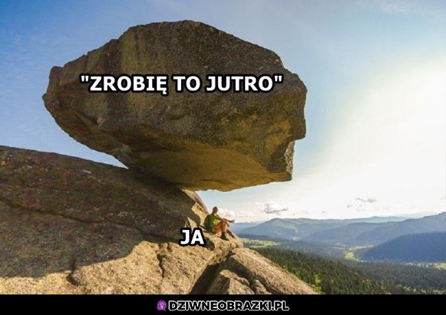 I tak się zbiera