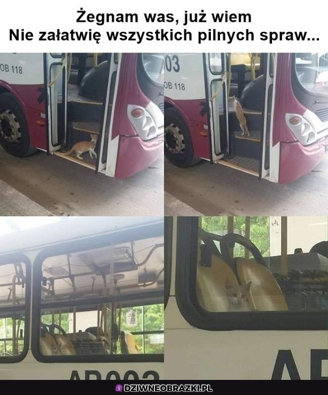 Żegnajcie