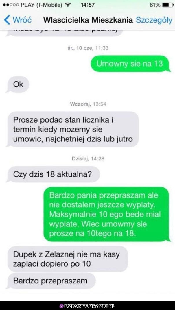 Taka właścicielka