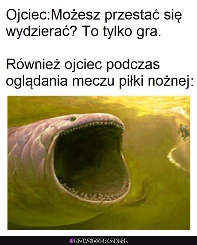 Kiedy ojciec ogląda piłkę nożną