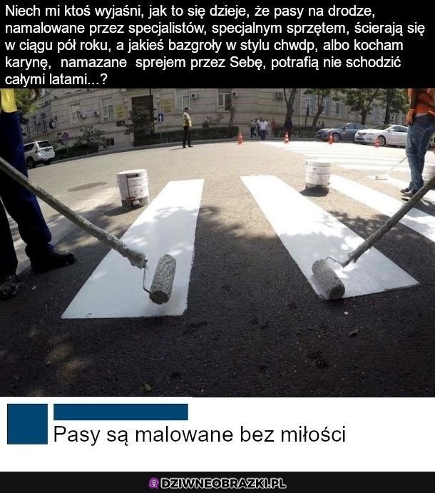 Właśnie to