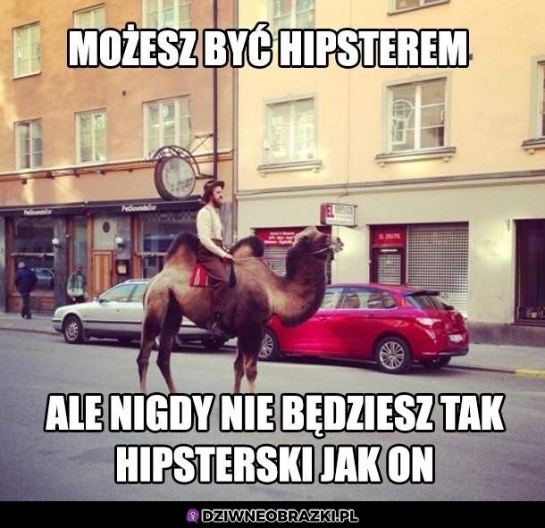 Hipster