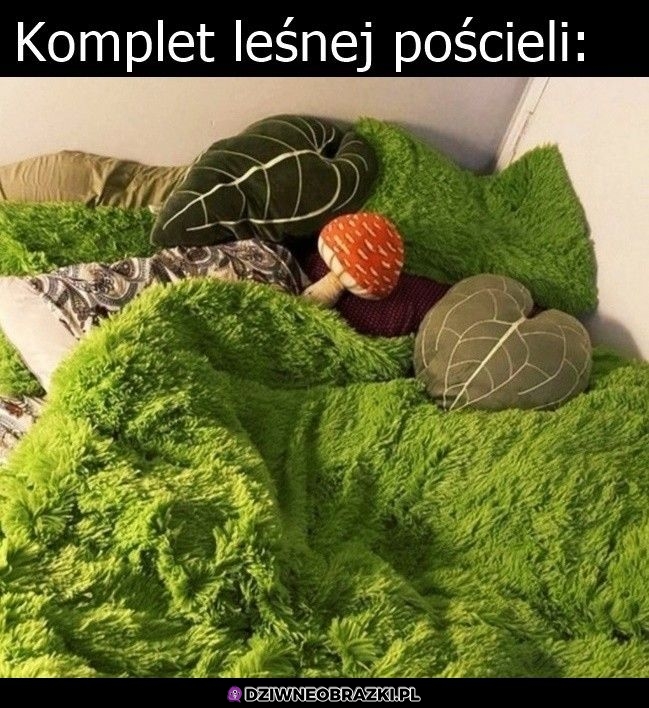 Fajny