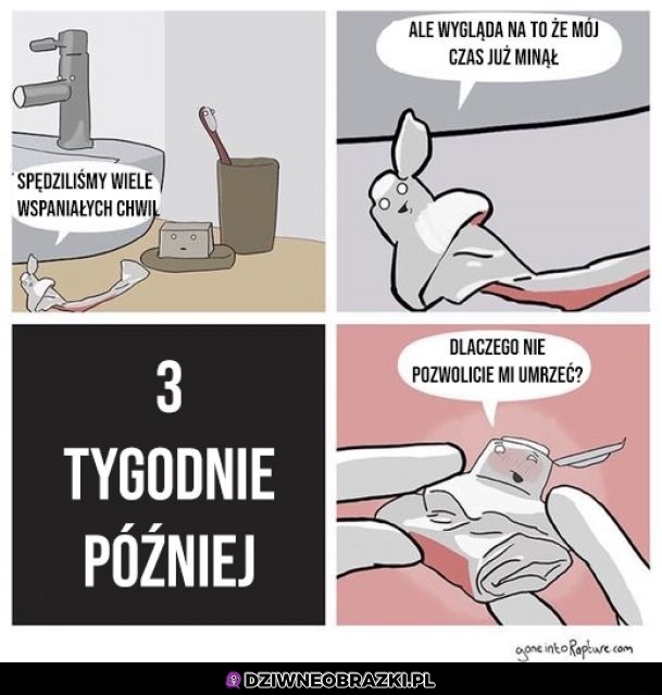 Zawsze to samo