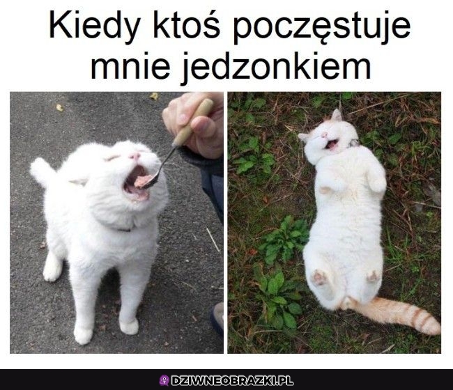 Najlepiej