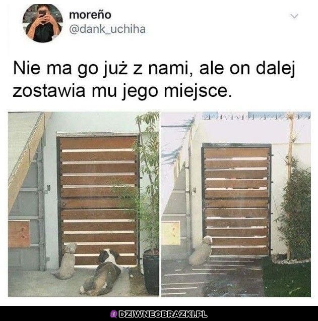 Bo o przyjaciołach się zawsze pamięta