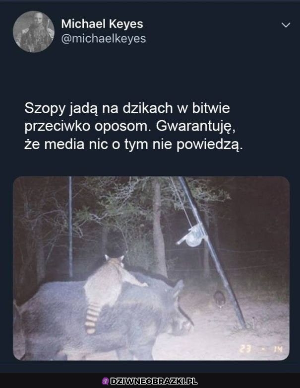 Media milczo jak zwykle