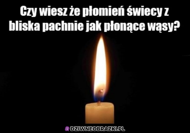 Zapach świecy