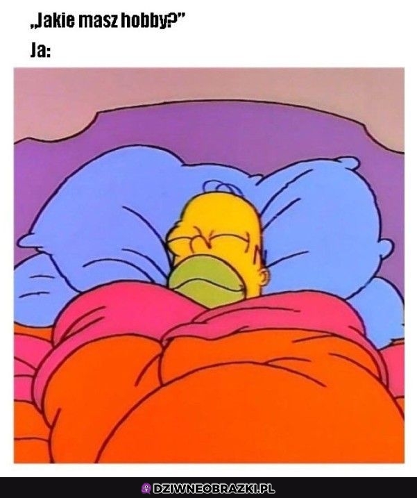 Ulubione zajęcie