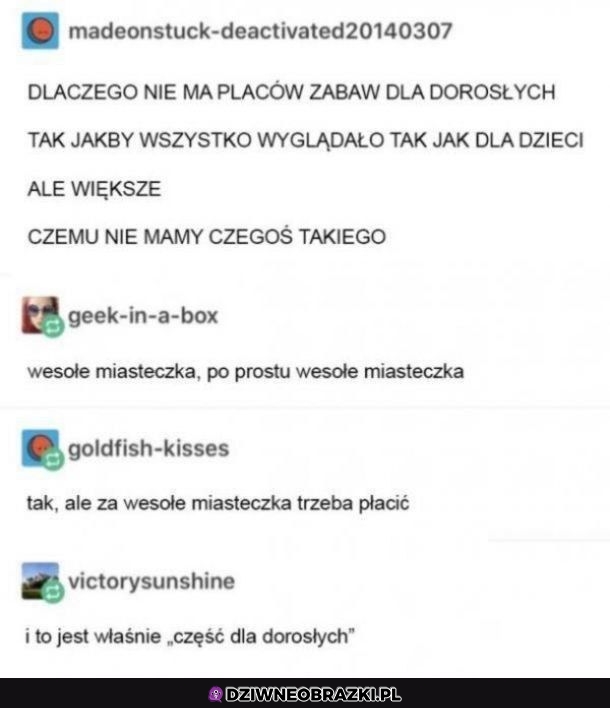 Placa zabaw dla dorosłych Placa zabaw dla dorosłych