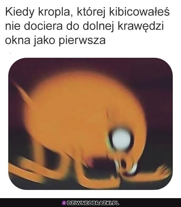 Ten moment