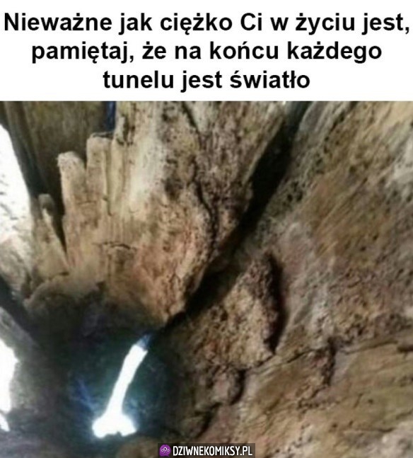 Światełko