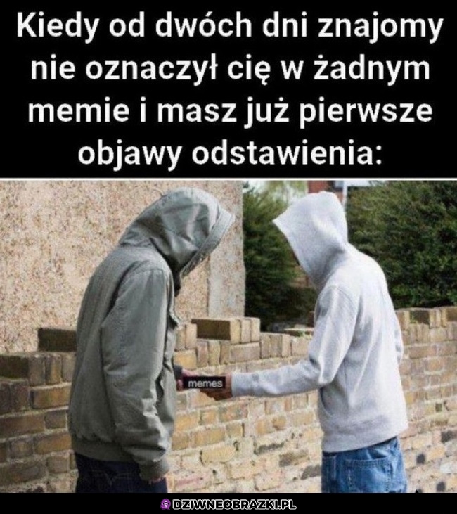 Potrzebuję dilera