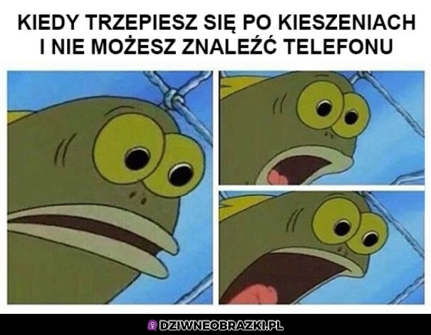 Ten moment paniki