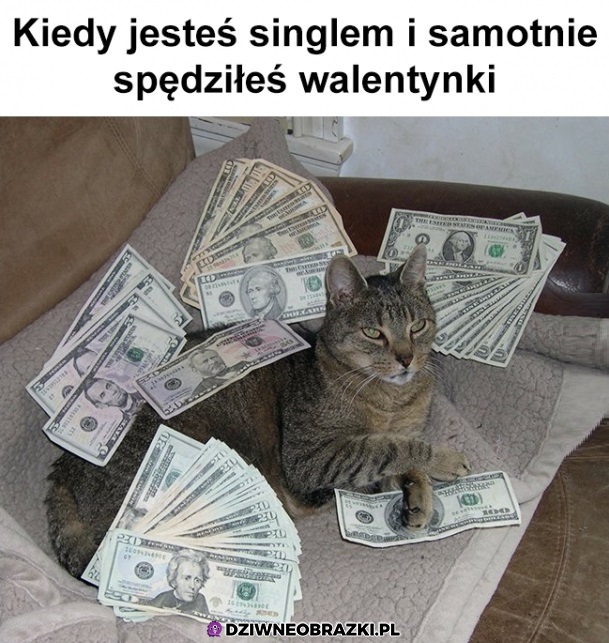 Bogactwo