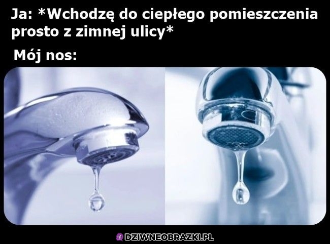 Zawsze