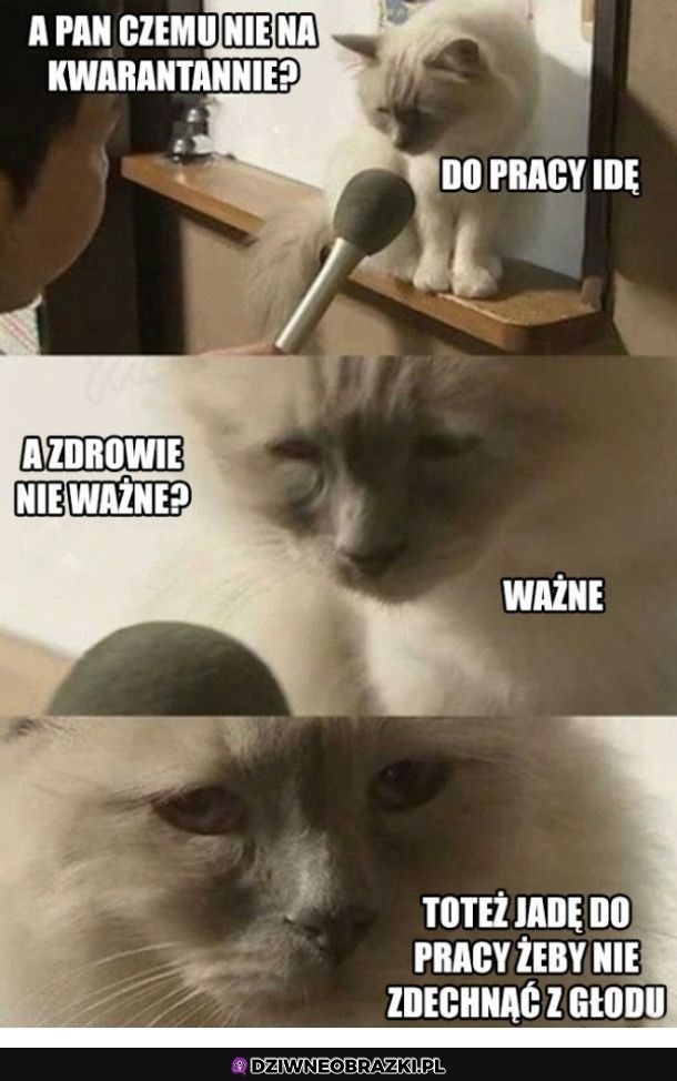 Ważne i ważniejsze