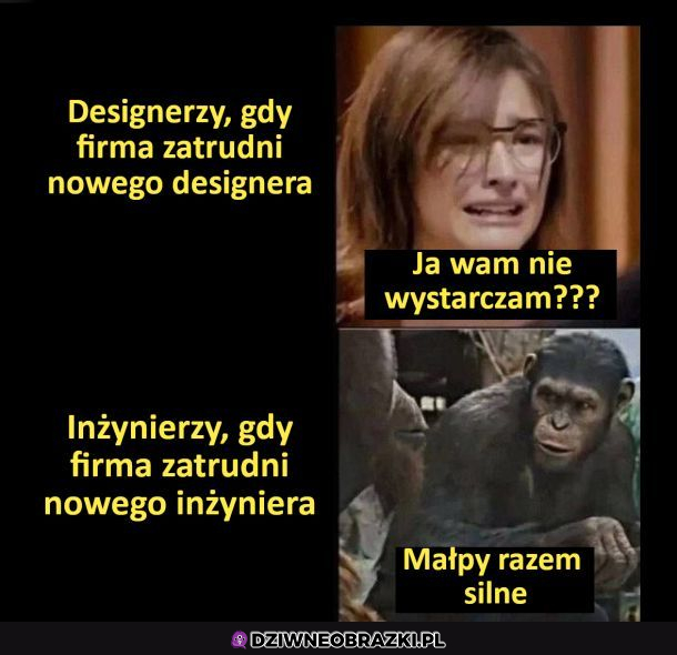 Współpraca! małpki mocne razem 