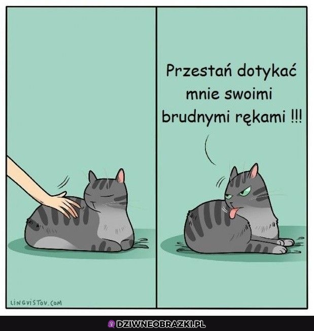 Zabieraj te łapy