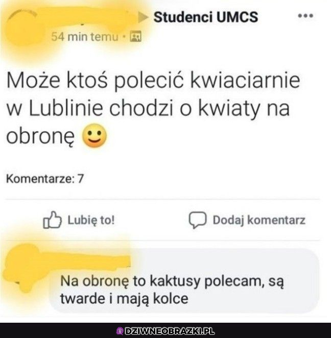 Jakie kwiaty na obronę?